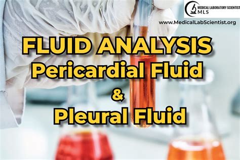 laboratory analysis of pleural fluid|pleural fluid analysis procedure.